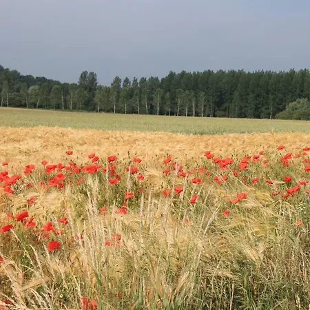 Somme Where *